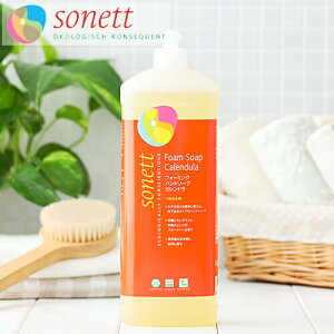 \lbg SONETT tH[~Onh\[vJhilւpj 1bg \lbg  1L lւ Sg\[v Sg A tB nh\[vԂ xr[ q qǂ