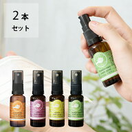 【選べる2本セット】パーフェクトポーション マスクスプレー 25ml×2本 PERFECT POTION 花粉 ブレスイー…