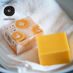 yaetoco (GgR) ɗ\ƂΌ 100g | ɗ\ É X ێ p[ VRR Ό  {fB Ƃ 炳  ׂ