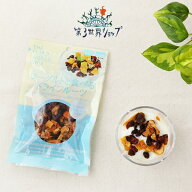 第3世界ショップ ヨーグルトと食べるドライフルーツ 100g ドライ マンゴー クランベリー レーズン パイナ…