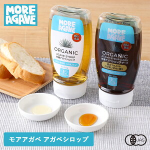 More AgaveiAAKxj L@AKxVbv L@AKxVbv_[N 360g Vbv AKxVbv GI A I[KjbN L@JAS fU[g  g