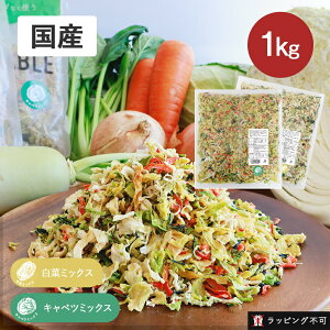 GREEN BASEiO[x[Xj hCxW  Lxc~bNX ؃~bNX 1kg Ɩp hCxW^u ؃~bNX Jbg Z YybsOsz