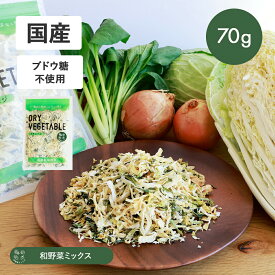GREEN BASE（グリーンベース） ドライベジ 乾燥野菜 和野菜ミックス 70g ドライベジタブル ブドウ糖不使用 野菜ミックス カット野菜 時短 国産【返品交換不可】