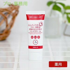 vEƖp 蔧̍rhnhN[ 60g  nhPA p 򕔊Oi ێ x^Ȃ Ƃ r  v[g Mtg vƖp [}