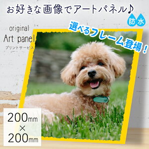 XNGAminiTCY 20cm I[_[Ch tHgpl AObY Ԃ ybg LOʐ^  ܎O ʐ^pl EFJ{[h A[gpl Mtg I[_[ pl A[g 