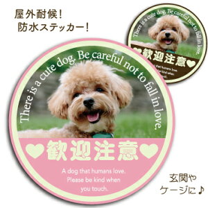 XebJ[ y}Ӂz pfBXebJ[ h V[ Ҍ Ŕ E } ӊN h XebJ[  XebJ[ ʔXebJ[ hƃXebJ[ hV[ hƑ΍ 