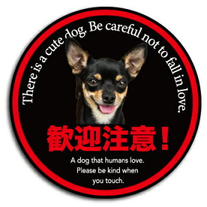 XebJ[ y}ӁzpfBXebJ[  V[ Ҍ v[g Ŕ hXebJ[ j[N  XebJ[ ʔXebJ[ pfB V[ hƃXebJ[ hV[