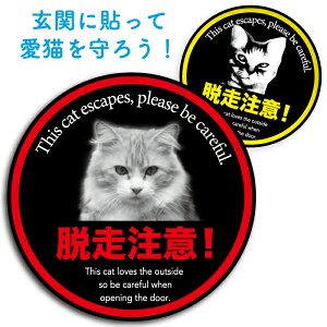 LXebJ[yEӁzpfBXebJ[ L V[ Ҍ v[g Ŕ hXebJ[ j[N  XebJ[ pfB V[ hƃXebJ[ hV[ hƑ΍ h