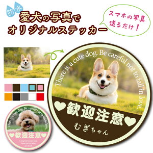 ʐ^XebJ[ i}ӁjȒP y I[_[ IWiXebJ[ XebJ[ Ҍ Ŕ hXebJ[ j[N  V[ hƃXebJ[ hƃV[  