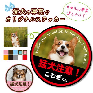 ʐ^XebJ[ iҌӁIj ȒP y ̎q IWiV[ I[_[ IWiXebJ[ XebJ[ hXebJ[ j[N V[ hƃXebJ[  