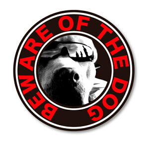 XebJ[yҌӁIzɂӂ@pfBXebJ[