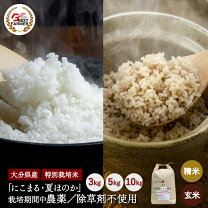 楽天市場】玄米 白米 セットの通販