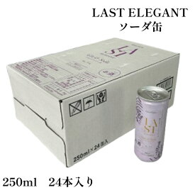 クラフトジン LAST ジンソーダ 250ml 24本入り エシカル・スピリッツ Ethical Spirits ジン 酒 酒粕 千代むすび リキュール スピリッツ ソーダ 日本 国産