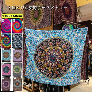 GXjbNy[֑zgsJXс^yXg[iAWAt@bV GXjbNt@bV XJ[t Xg[ V[ ^[o g X ^yXg[ z o o