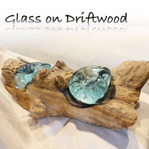 グラスオンドリフトウッド★流木とガラス(エスニック アジアン 雑貨 アジアン雑貨 エスニック雑貨 バリ島 バリ雑貨 バリ島雑貨 流木 ドリフトウッド グラス ガラス ディスプレイ インテリ