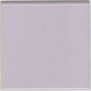 ^C 100p Жʎ i10ZbgjSP-1060/89iG[Xj