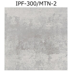 IPF-300/MTN-1�`4�@���^���X�^�b�RII�@300mm�p���@
