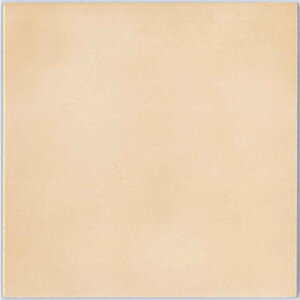 INAX [bN100 uCg lbg SP-100lbg/L405