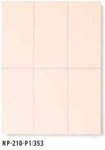 INAX@xCiyACi@tHbM[@200×100mmplbg NP-210-P1/361