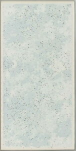 �y�A���C�i�L���~�b�N �}�[�u���q�g�@200×100�p�@�Жʎ�(��)�i5���Z�b�g�jPRKC-2160/409(U)
