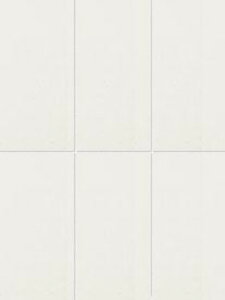 INAX@GR[W 200×100mmp lbg ELG-210NET/2CgO[