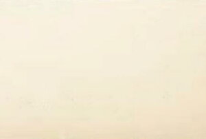 yAEgbgzECP-345/TRV2[]@GRJbgvX FV[Y go[`@303×455p  L ǃ^C   gC DIYΉ  Ǎ {