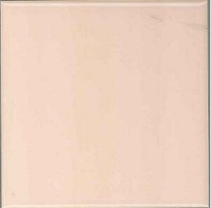 カミヤマセラミック ブライト100角 片面取 (10枚セット)KN-281K