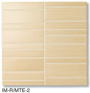 CeAUCN CXe_[ ٌ`lbg IM-R/MTE-2[V[g]