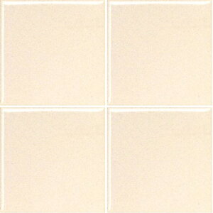 ^C 100pʎ SP-1065/21(KD)