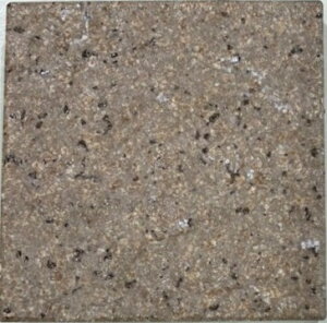 Ză^C tBNZ300mmp FX-300/11[P[X]^C  pubN AEgbg