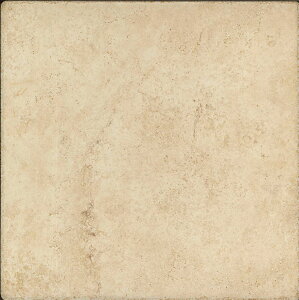 }~AeBL299@NVR 300pTL31331