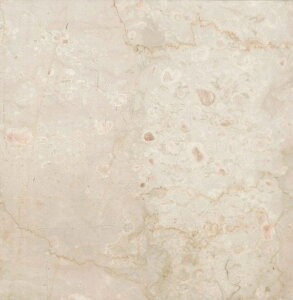 �y�A�E�g���b�g/�݌Ɍ���I�z�@CM-3501�m���n�@ADVAN�@�A�h���@���@�|�e�`�[�m�N���V�R 300�p(�{����)�@�������@�����ǁ@�V�R�΁@