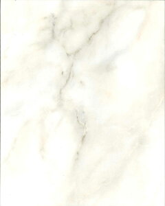 ICC-0127�@�A�h���@���@CALACATTA�@�J���J�^�@�r�A���R�@�����ǃ^�C��