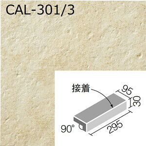 CAL-301/Fmn@JbT@300x100mmpti@(ڒ) @
