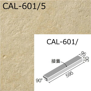 CAL-601/Fmn@JbT@600x100mmpti@(ڒ) @