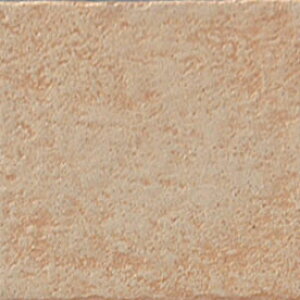 j[ylg[g 300mmp NPT-300/8[5Zbg]yAEgbgz