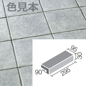 j[ylg[g300x100mmpti@ NPT-301/2mon