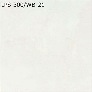 IPS-300/WB-21�`22�@�z���C�g�o�[�`�y�����^�C�v�z�@300mm�p���@295×295×9mm