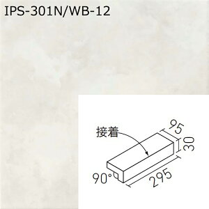 IPS-301N/WB--11�`12�@�z���C�g�o�[�`�y�O���^�C�v�z�@300×100mm�p����t���i�@�i�ڒ��j�@295×295×9mm