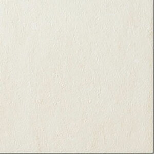 IPF-300/FED-1mP[Xn@tFfB[@300p@O^C