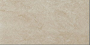 IPF-630/FED-2mP[Xn@tFfB[@600x300p@O^C