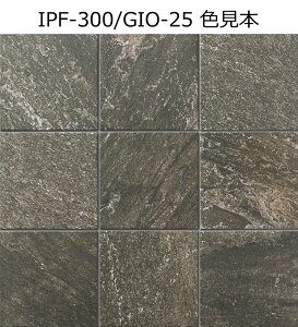 IPF-300/GIO-21`25y^Cvz@WCAXg[@300mmp@ǁ@@@ǁ@^C