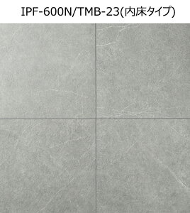 IPF-600N/TMB-F@^Co[y^Cvz@600p@ǁEEEǁE^C