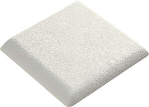 T[^C Xebv 100mmpi@i^CvjIFT-1065/CS-31mn