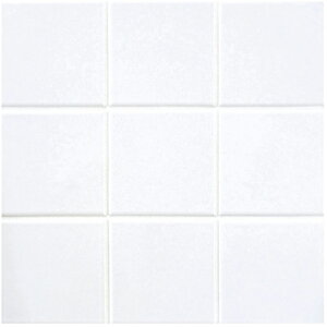 IM-100P1/NY1HmV[gn@CeAUCN jAX 100mmplbg@UCN^C