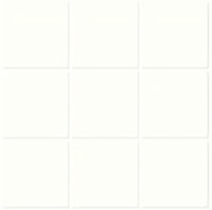 IM-100P1/NY2HmV[gn@CeAUCN jAX 100mmplbg@UCN^C