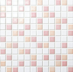 IM-25P1/NY501mV[gn@CeAUCN jAX~bNX@25mmplbg@UCN^C