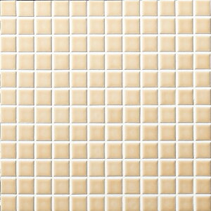 IM-25P1/NY54mV[gn@CeAUCN@jAX 25mmplbg@UCN^C