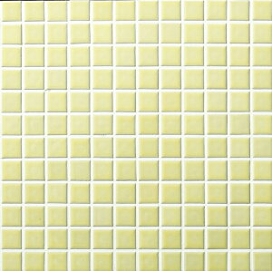 IM-25P1/NY55mV[gn@CeAUCN@jAX 25mmplbg@UCN^C