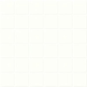 IM-50P1/NY2HmV[gn@CeAUCN@jAX 50mmplbg ǁ@UCN^C